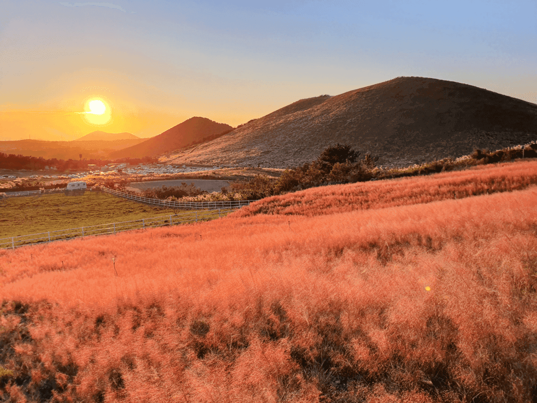 제주도 가을 타기 좋은 곳 TOP4