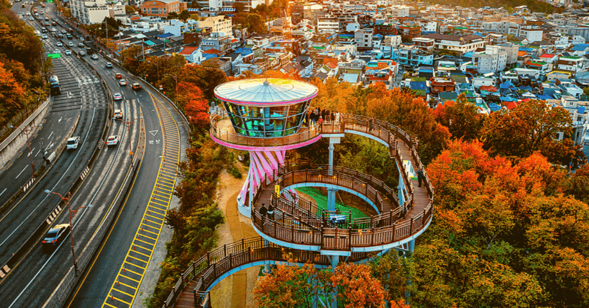 가을에 떠나는 랜선 대구여행 BEST 6