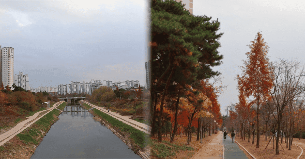 가을에 가볍게 가볼 만한 곳 BEST 5