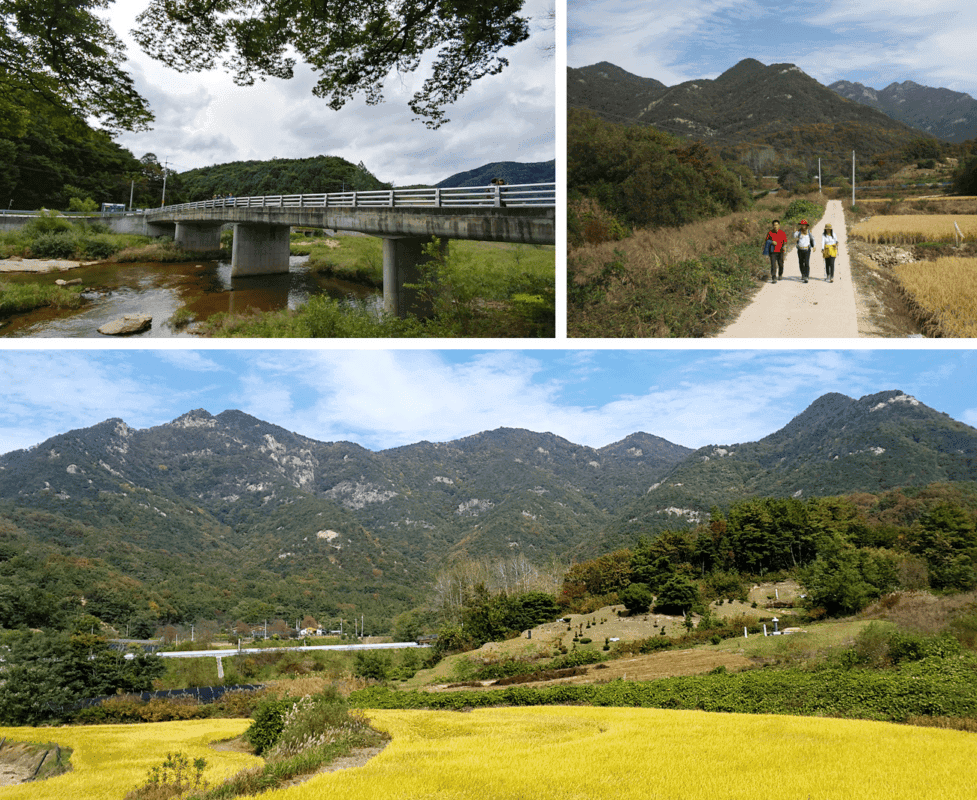 속리산의 숨겨진 보석, 이제 ‘국가숲길’로 빛나다