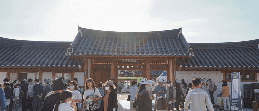 2024 영천작약꽃축제 정보