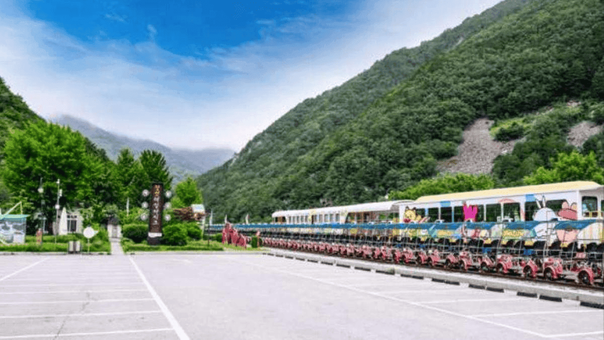 대한민국 레일바이크 명소 추천 전국 성지 4곳 소개