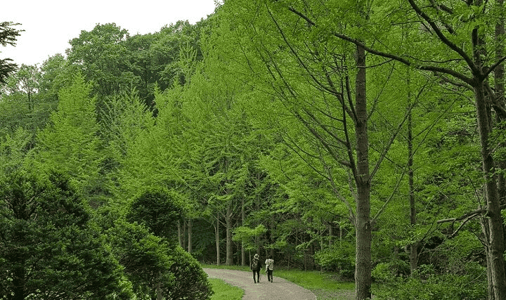 6월 경기도 여행, 걷기 좋은 길 추천 Best 5