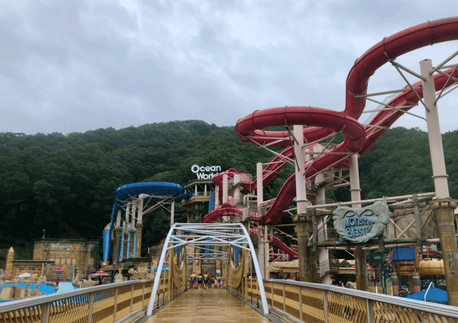 오션월드 개장 하이시즌 입장권 7월 할인 가격 준비물 총정리