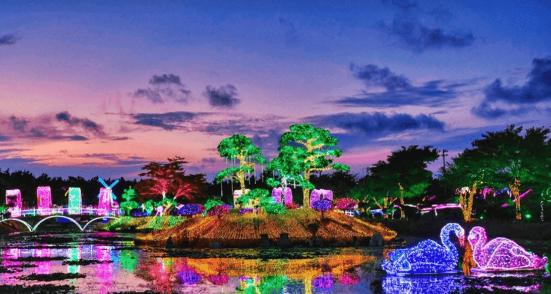 “빛으로 물든 태안에서의 하루!”…연중무휴 태안 빛축제 완전 가이드