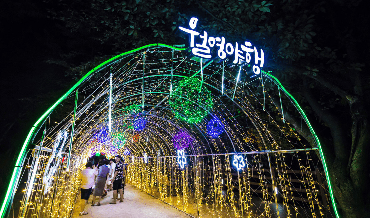 “이건 놓치면 안돼!”…여름밤의 낭만을 느낄 수 있는 안동 월영야행 2024