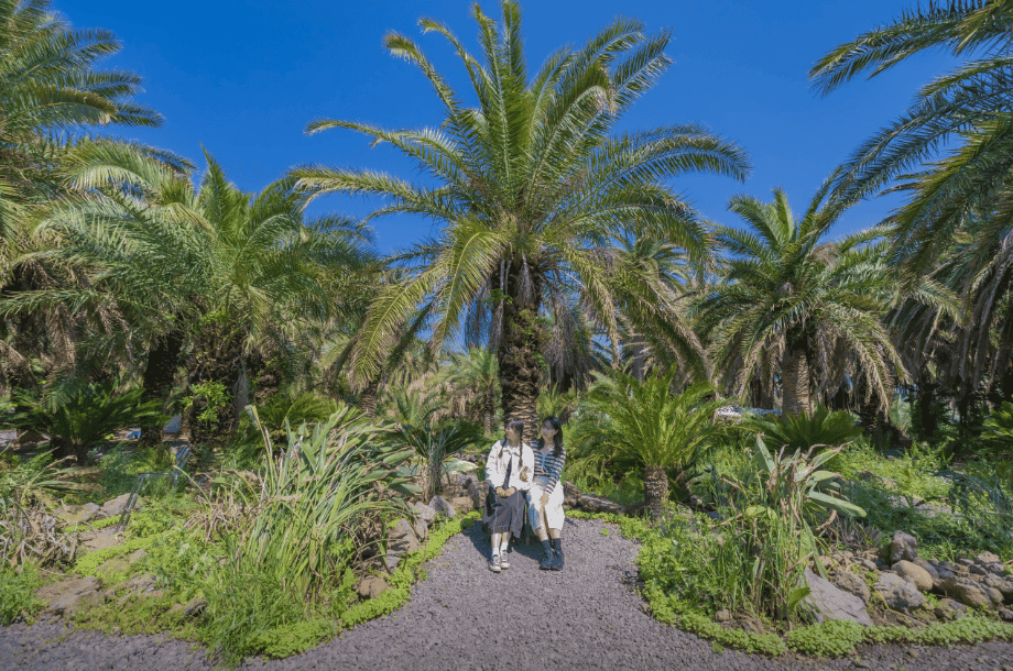 “걷기만 해도 힐링된다!”…제주도에서 자연위로 힐링 여행지 4곳 추천