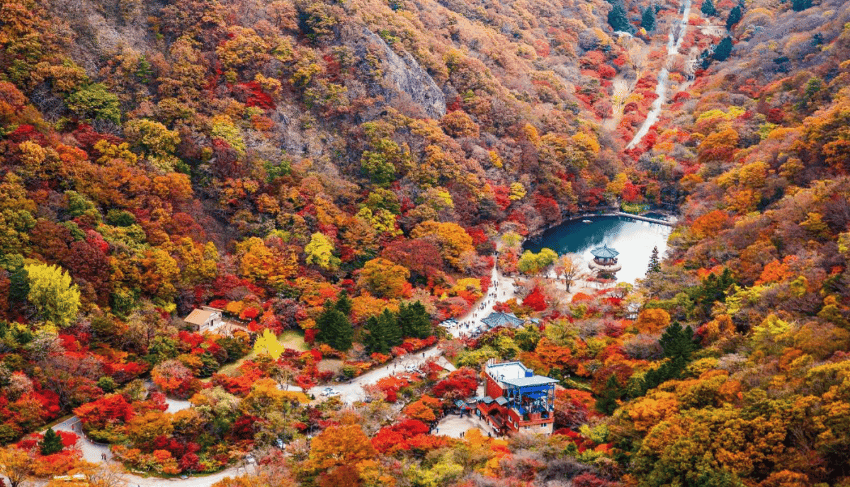 “올가을 놓치면 후회할 단풍 명소!”… 가을 단풍이 물든 전라도 숨은 명소 BEST 3