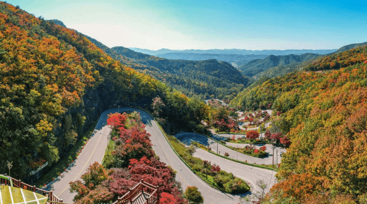 “인생 최고의 단풍!”… 가을 단풍과 함께 힐링하기 좋은 충북 명소 Best 3