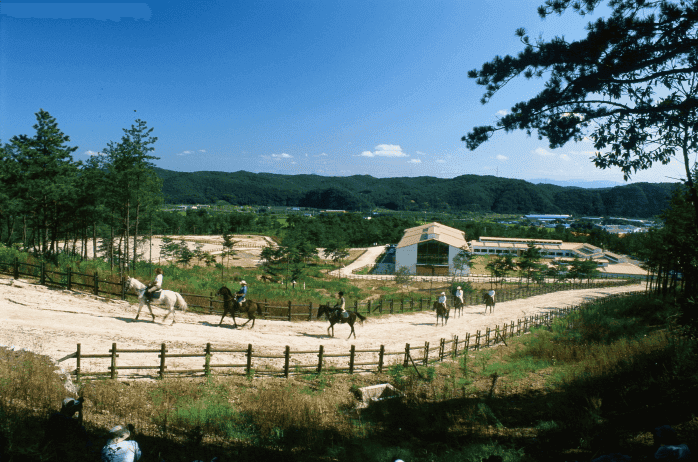 “이런 숲을 찾고 있었어!”… 여름을 시원하게 보낼 수 있는 경북 자연휴양림 BEST 3 추천