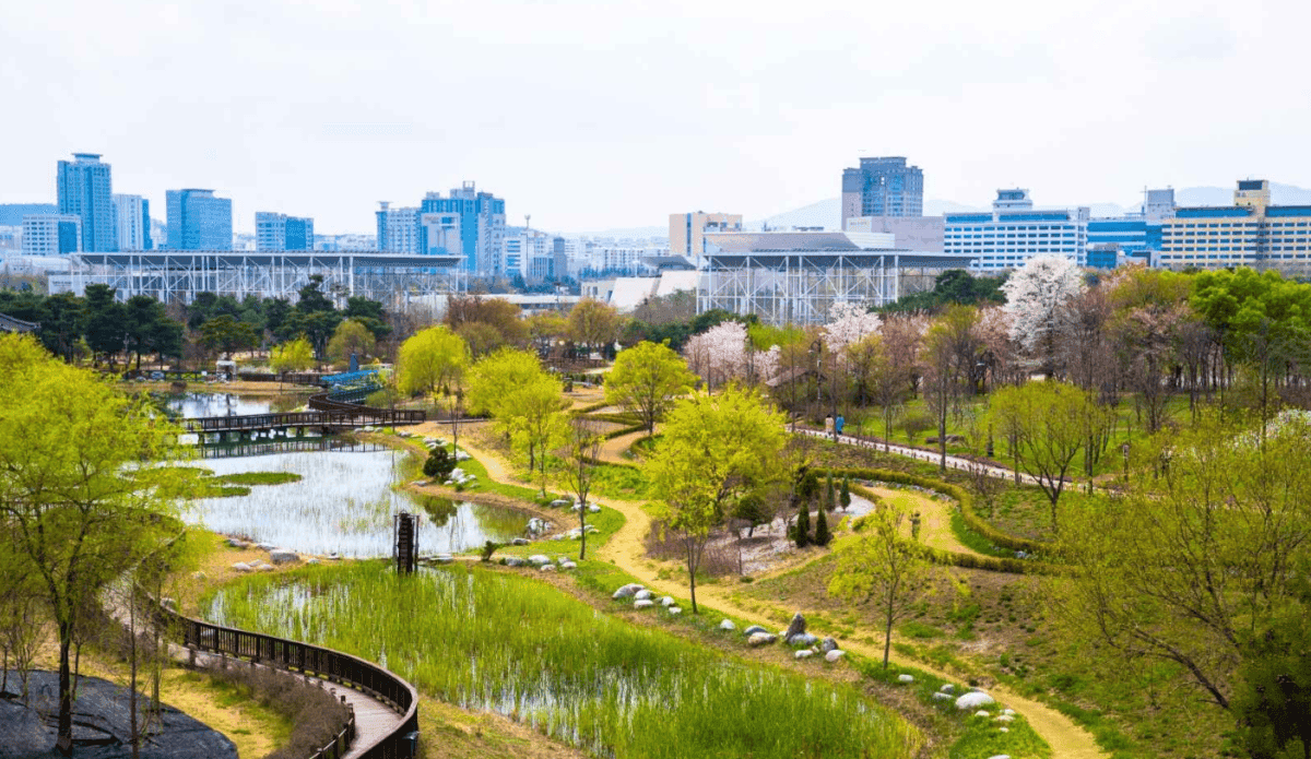 “가을 바람 솔솔”… 대전에서 꼭 가봐야 할 힐링 여행지 BEST 4