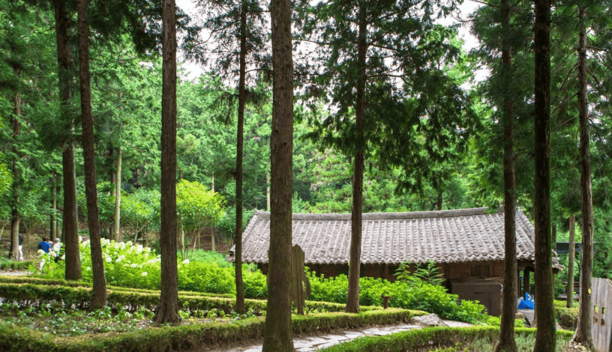 “바다와 산이 함께하는 힐링 여행!”… 전남 장흥에서 꼭 가봐야 할 명소 BEST 4