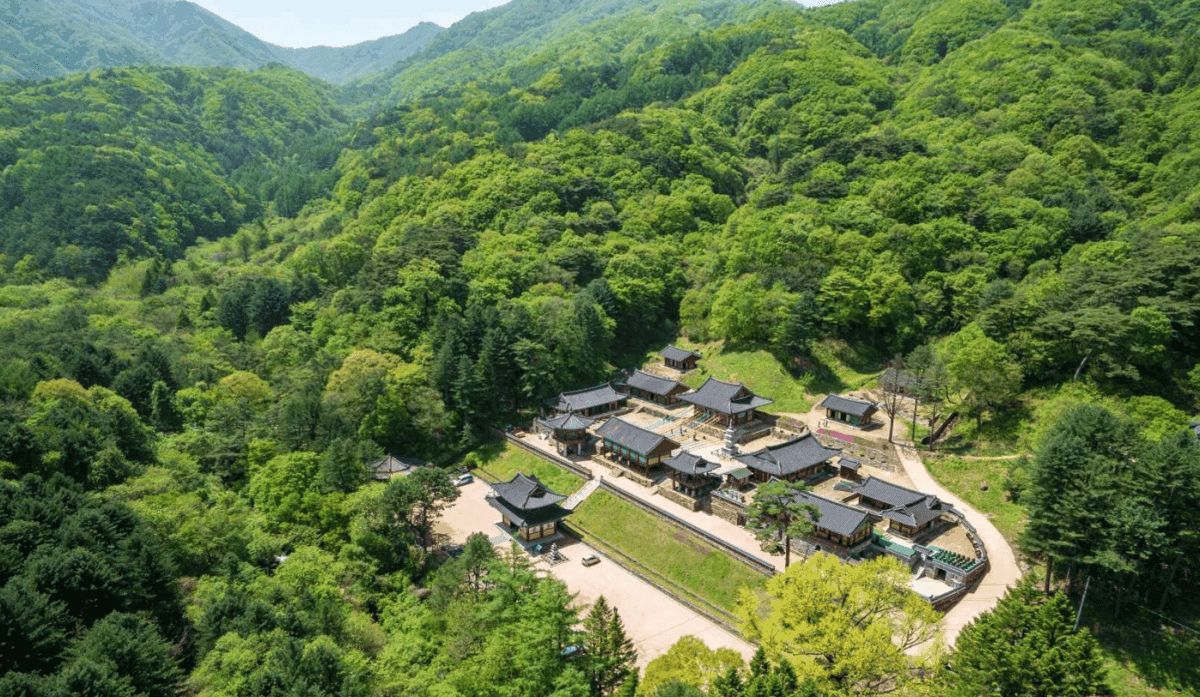 “여기 숨겨져 있었다니!”… 강원도 원주의 숨겨진 명소 BEST 4