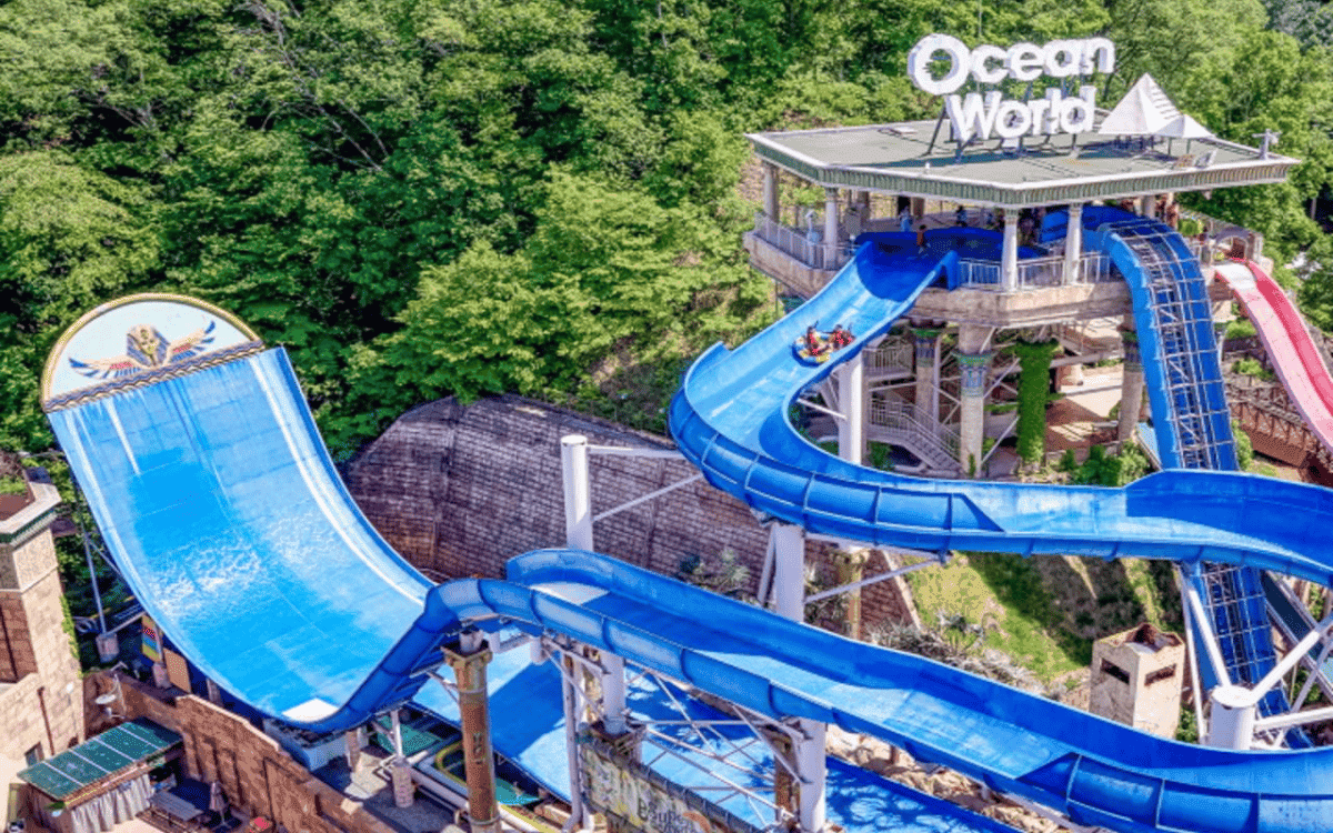 비발디파크 오션월드 평일 추석패키지 2024