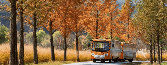 2024 국군의 날, 국립수목원과 자연휴양림 무료 개방