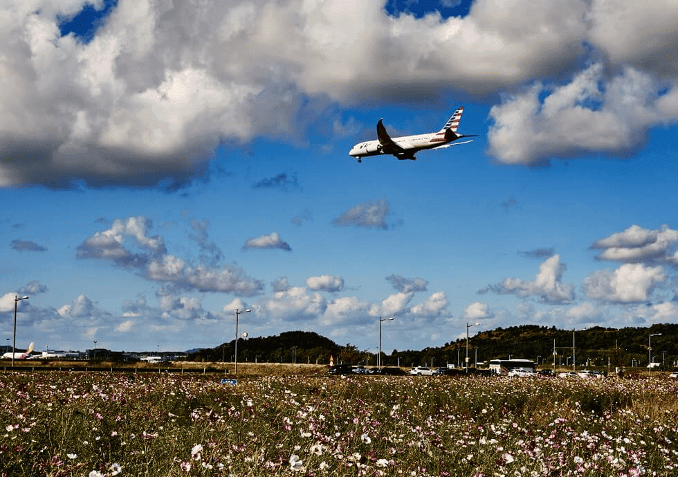 서울 근교에서 만나는 가을 코스모스 명소 베스트 5