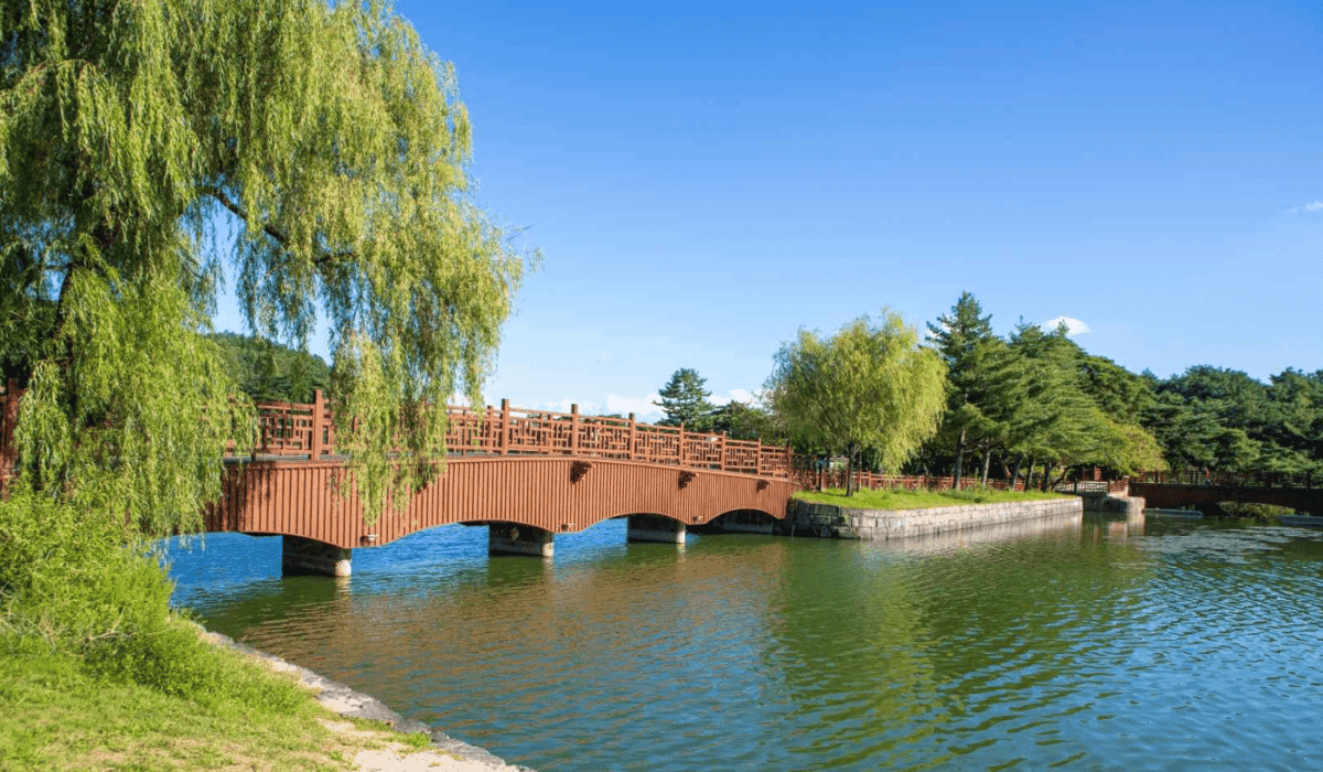 “이번 추석엔 꼭 가봐야 해!”… 감성 가득한 국내 드라이브 코스 BEST 5