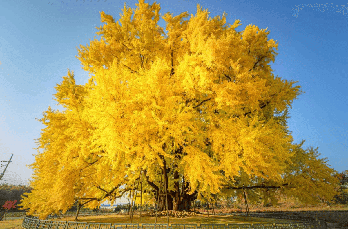 “자연의 품으로 떠나자!”… 10월에 꼭 가봐야 할 국내 여행지 BEST 4