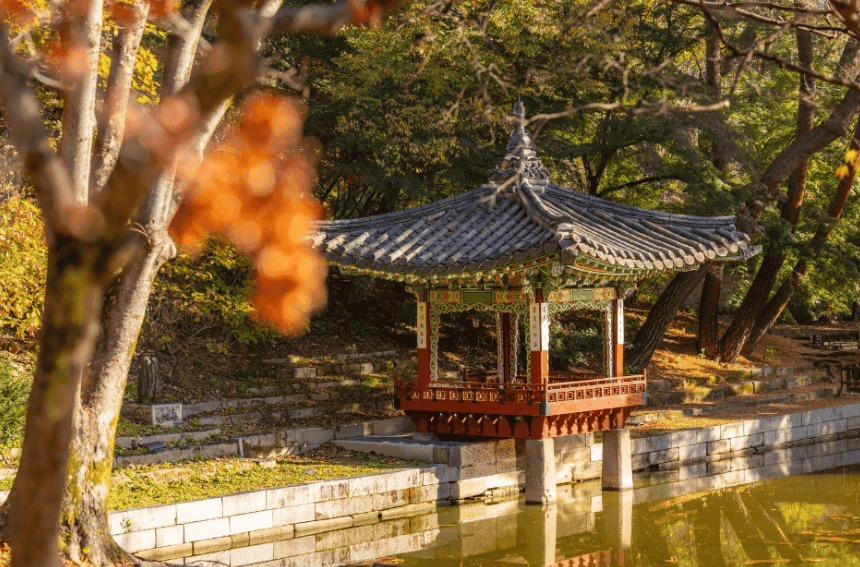 “분위기가 예술이야!”…가을에 꼭 가봐야 할 서울 고궁 BEST 4