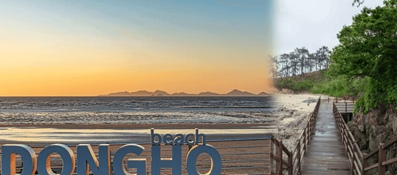 “감성 넘치는 고창 여행지, 여긴 꼭 가봐야 해!”… 전북 고창에서 놓칠 수 없는 명소 BEST 4