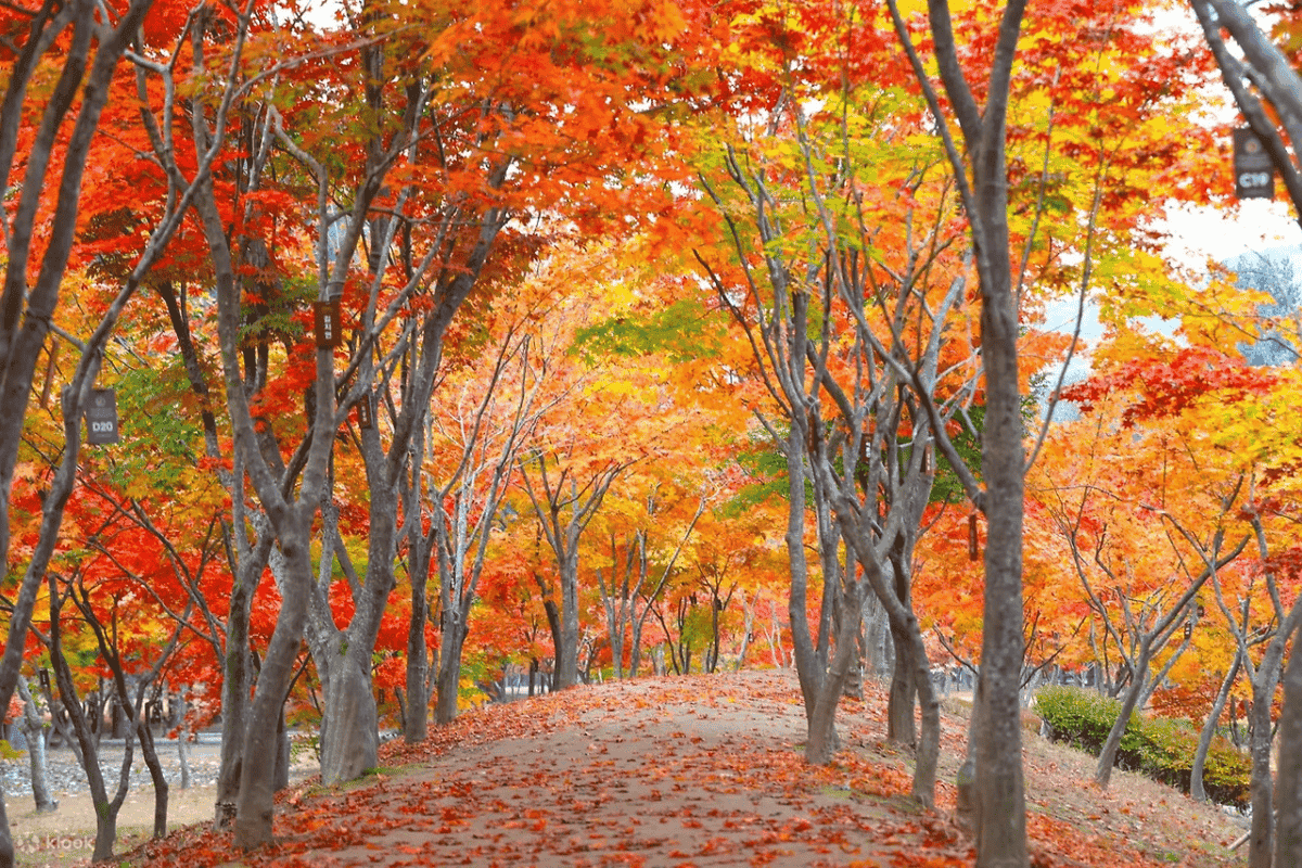 선선해진 가을에 떠나는 9월 국내여행지 추천 4곳