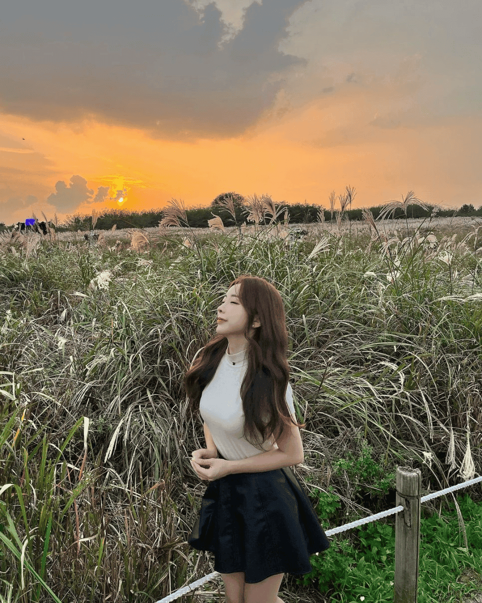 10월 국내여행지 추천 :: 단풍과 억새가 가장 아름다운 BEST 4