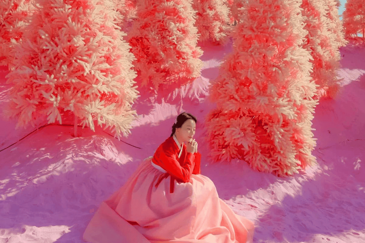 가을, 코스모스가 부른다! 9월 10월 코스모스 축제 및 명소 총정리