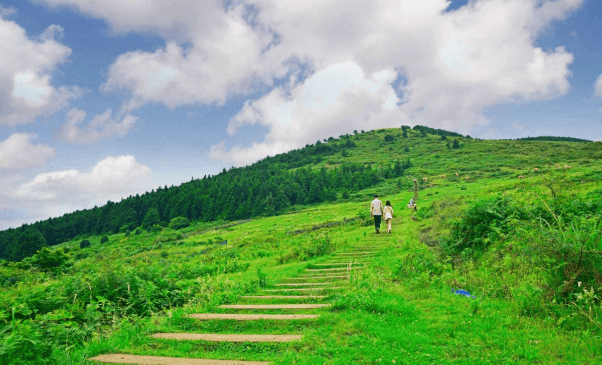 “이게 진짜 힐링이지!”… 제주도 추석 연휴 완벽 여행 코스 추천 BEST 4