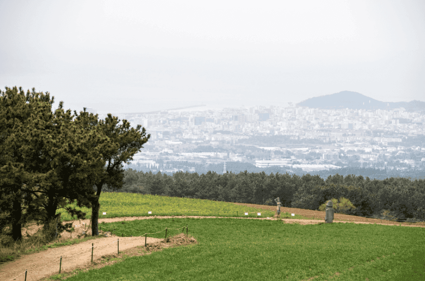 “걷기만 해도 힐링되네!”… 제주의 한적한 여행 코스 BEST 3