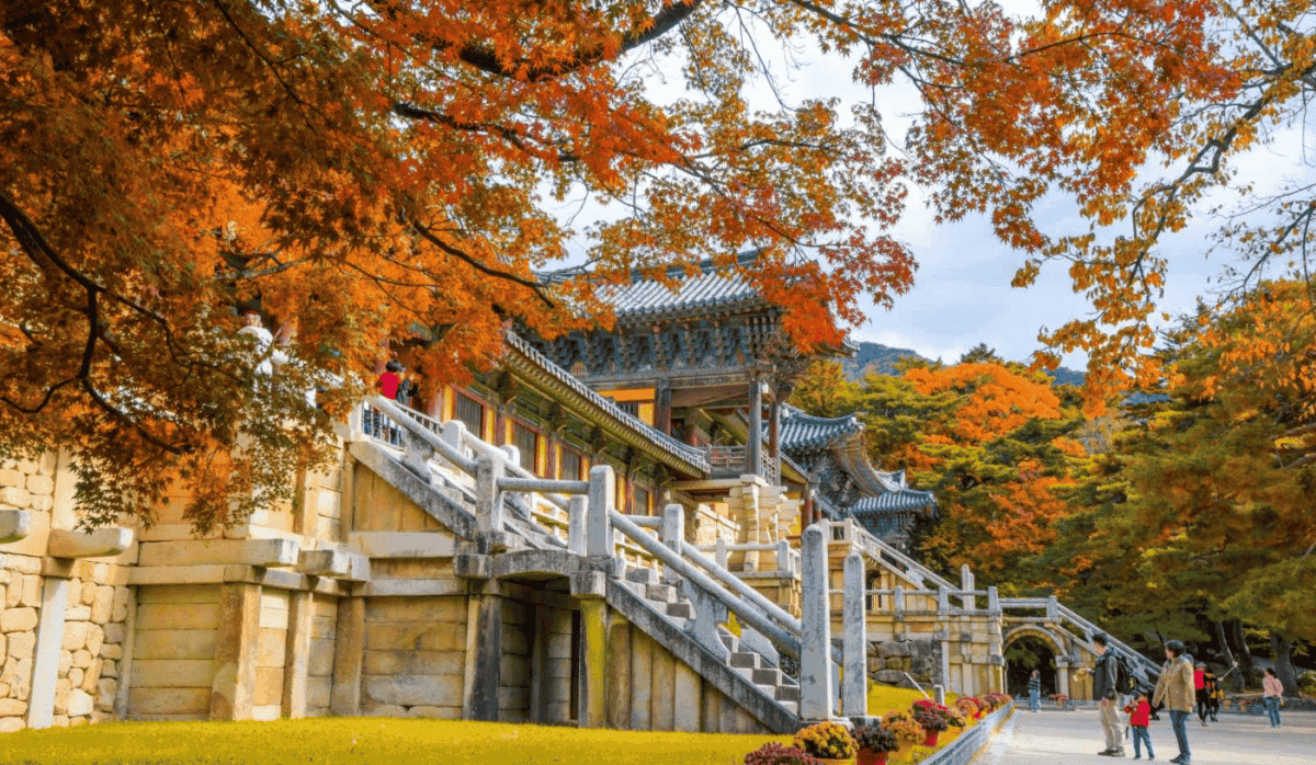 “꼭 가보고 싶어!”… 가을 단풍과 함께 떠나는 사찰 여행 BEST 4