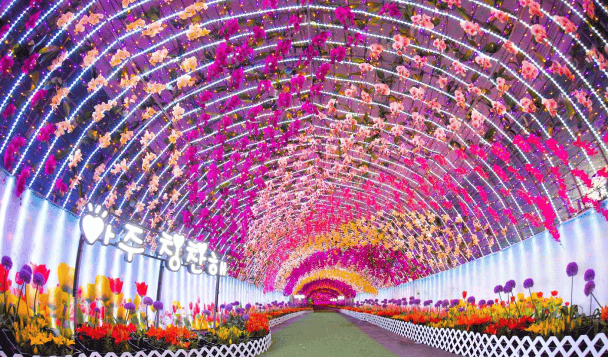 “밤의 낭만을 그대로!”… 365일 내내 열리는 빛 축제 BEST 5