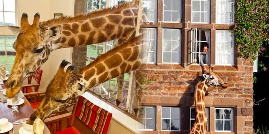 “이런 호텔이 다 있어?!”… 세계에서 가장 독특한 호텔 TOP 5 추천