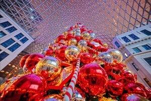 잘 가, 2024년. 상하이에서 마무리하는 12월