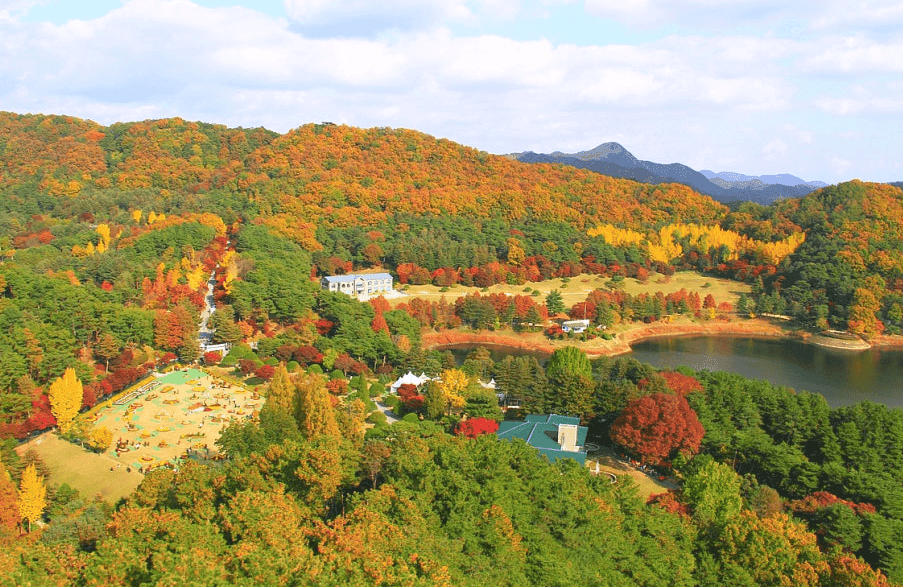 충북 가볼만한곳, 가을 단풍 명소 BEST 5