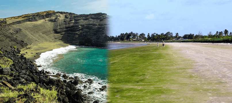 “놀라운 색의 향연!”…세계에서 가장 아름다운 바다 색깔 BEST 7