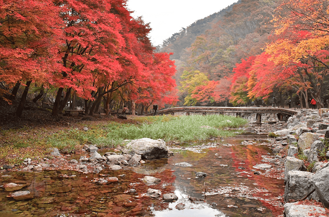 전북 가볼만한곳, 단풍 명소 추천 BEST 5