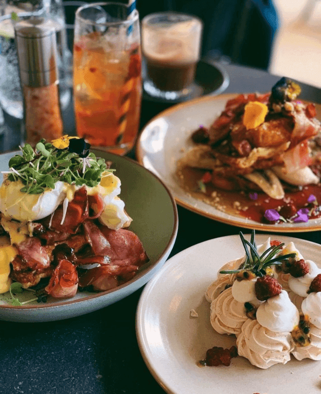 반려견과 함께 즐기는 여유로운 브런치 5곳