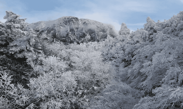 국내 겨울 여행지 추천 TOP 7