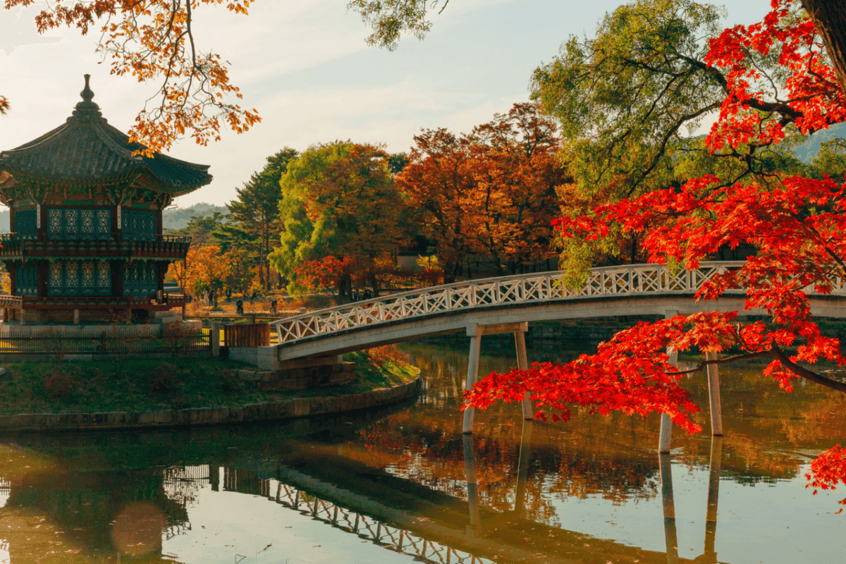 11월 서울 가볼 만한 곳 BEST 4