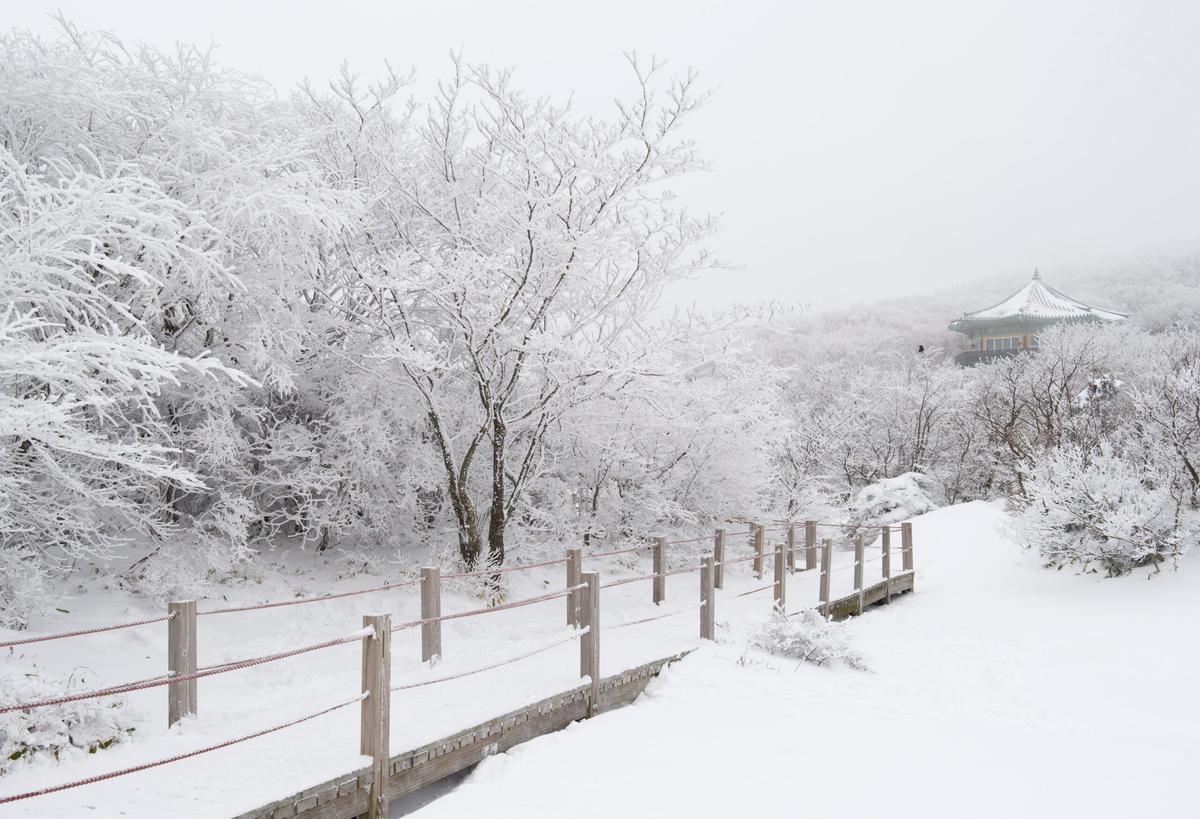 폭설 내린 한라산 1100고지, 차 끌고 갔다가 이럴 수가…
