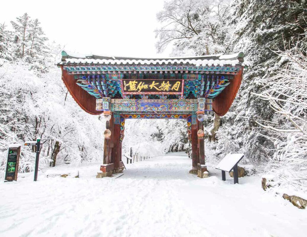 고즈넉한 산사부터 짜릿한 얼음낚시까지, 무료로 즐기는 평창 겨울 여행