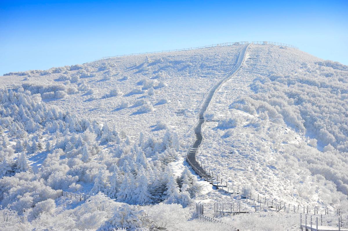 눈 내린 겨울, 마음까지 포근해지는 설산 여행지 4선
