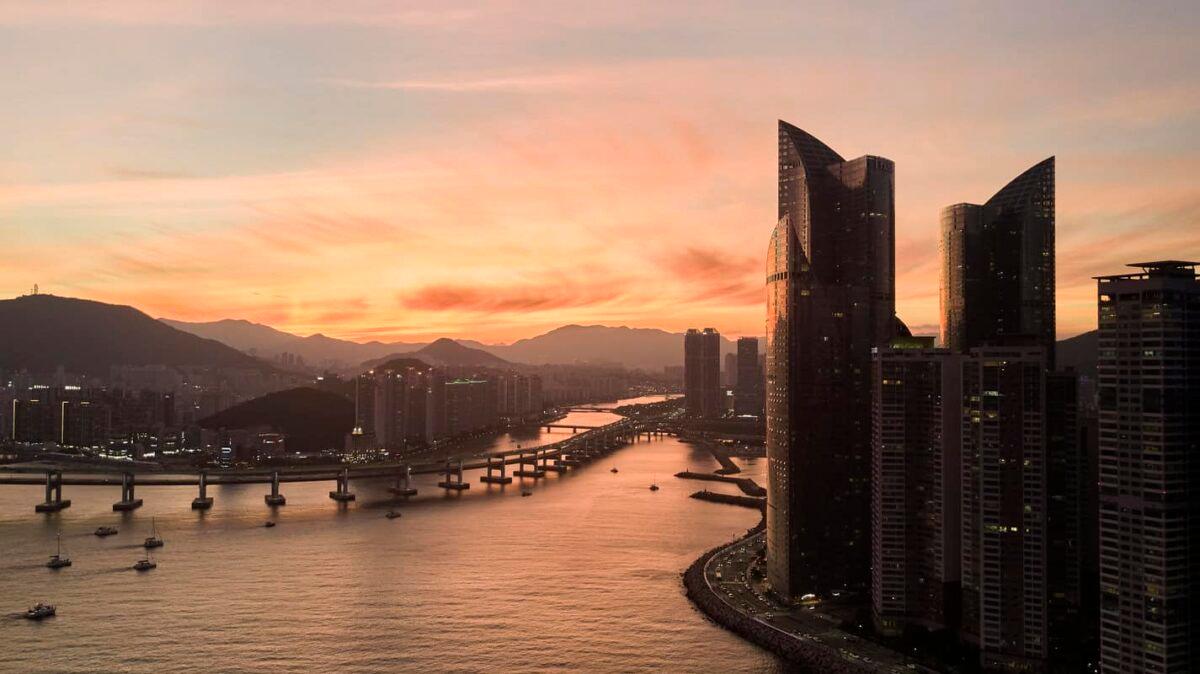 2025 카운트다운 행사 총정리 (서울, 인천, 부산, 제주)