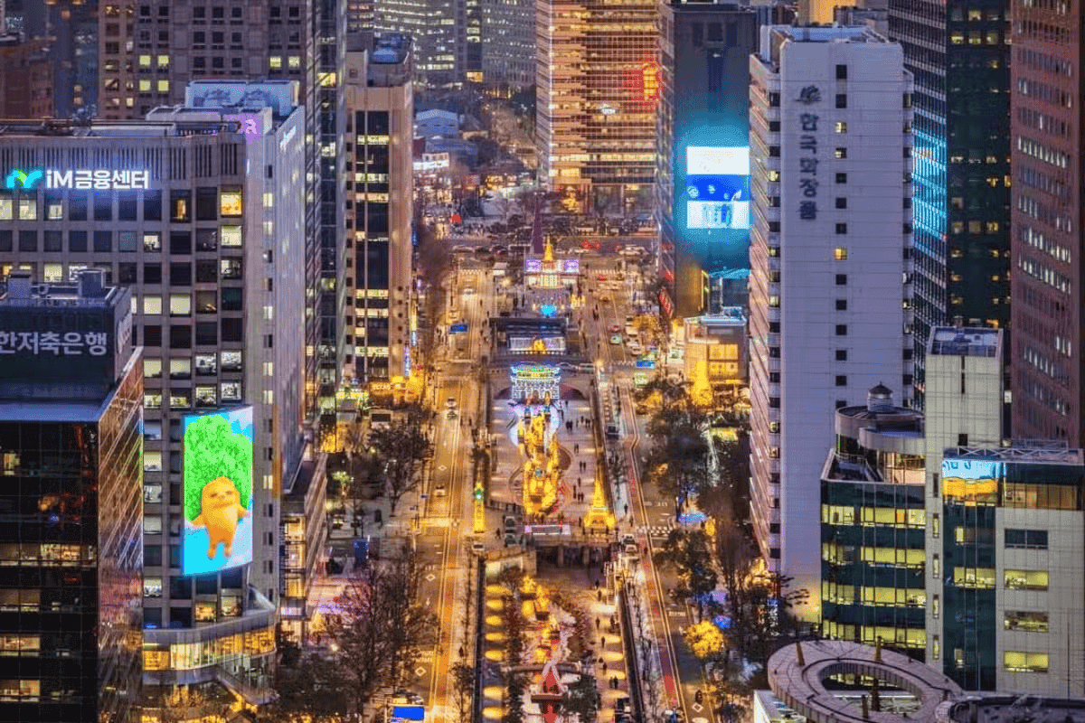 “올해 더 화려해져요”… 서울빛초롱축제에서 만나는 환상적 겨울의 밤