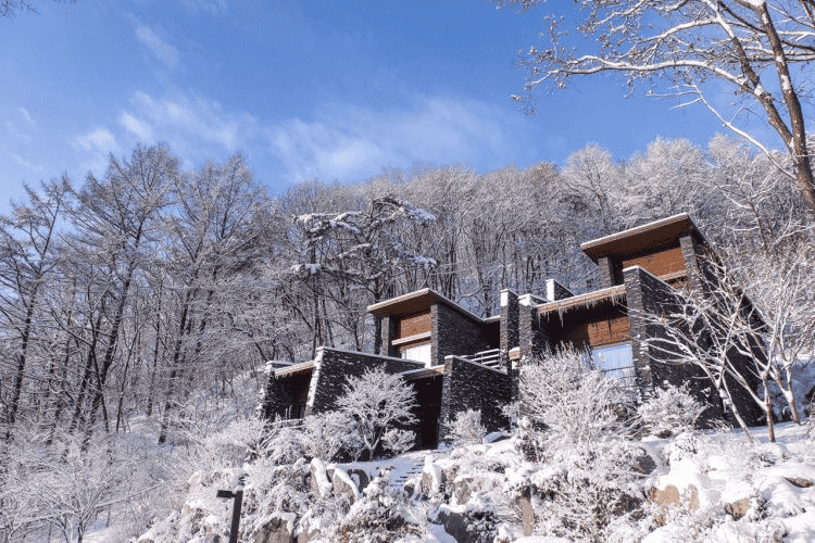 국내 겨울 여행! 1월에 가볼 만한 국내 여행지 추천