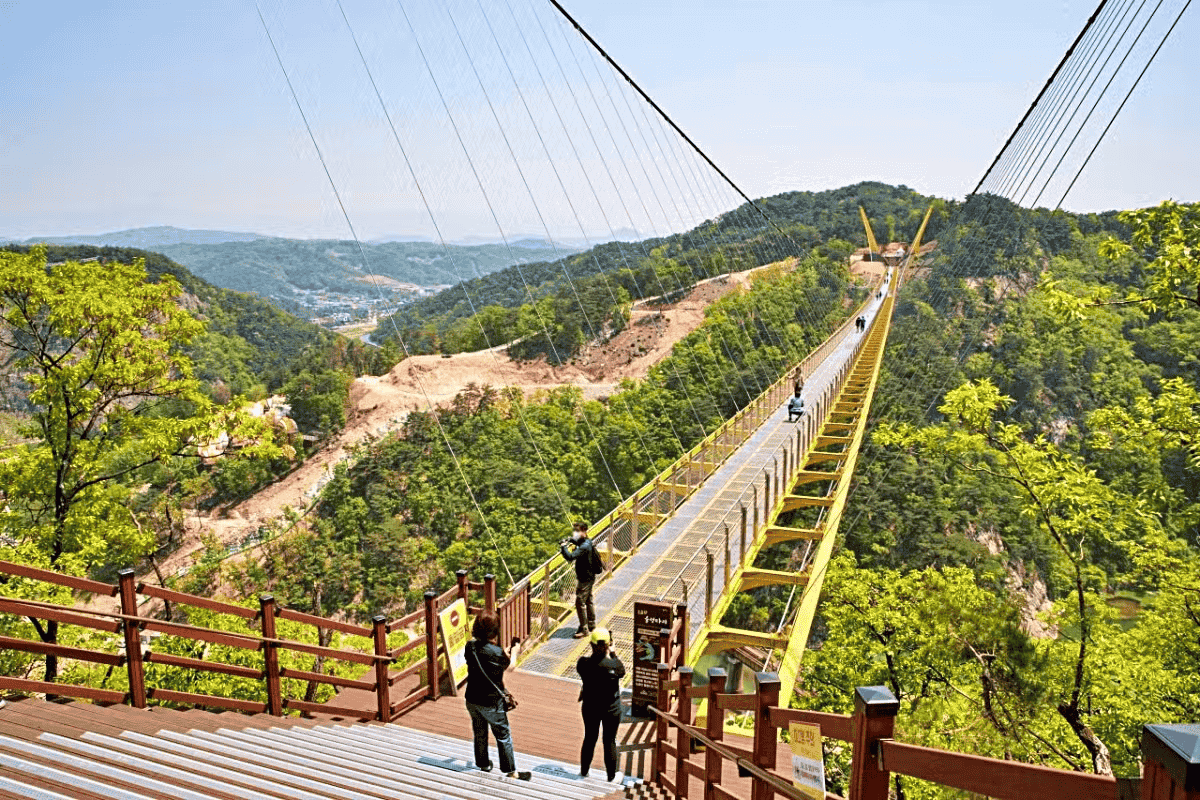 KTX 타고 떠나는 반값 여행, 소금산 출렁다리의 아찔한 매력