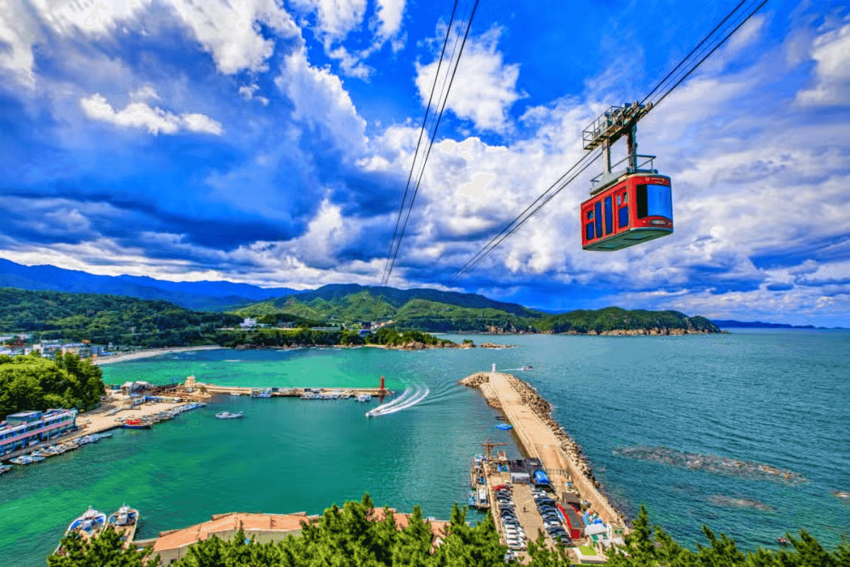 새해, 기차 타고 떠나는 삼척 겨울 여행 할인 기차 혜택 누리세요!