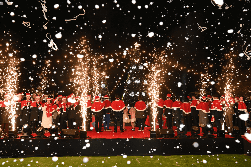 대구 앞산 겨울정원 개장! 연말의 설렘을 만끽해보세요