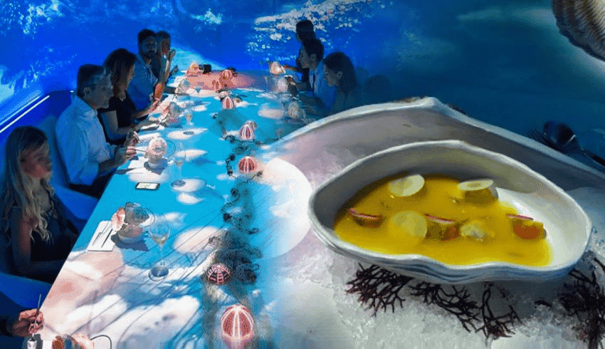 세상에서 가장 비싼 레스토랑 7곳