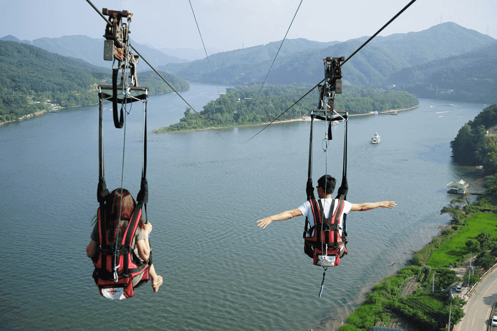 국내 짚라인 여행 명소 TOP 3, 스릴을 느껴보세요!